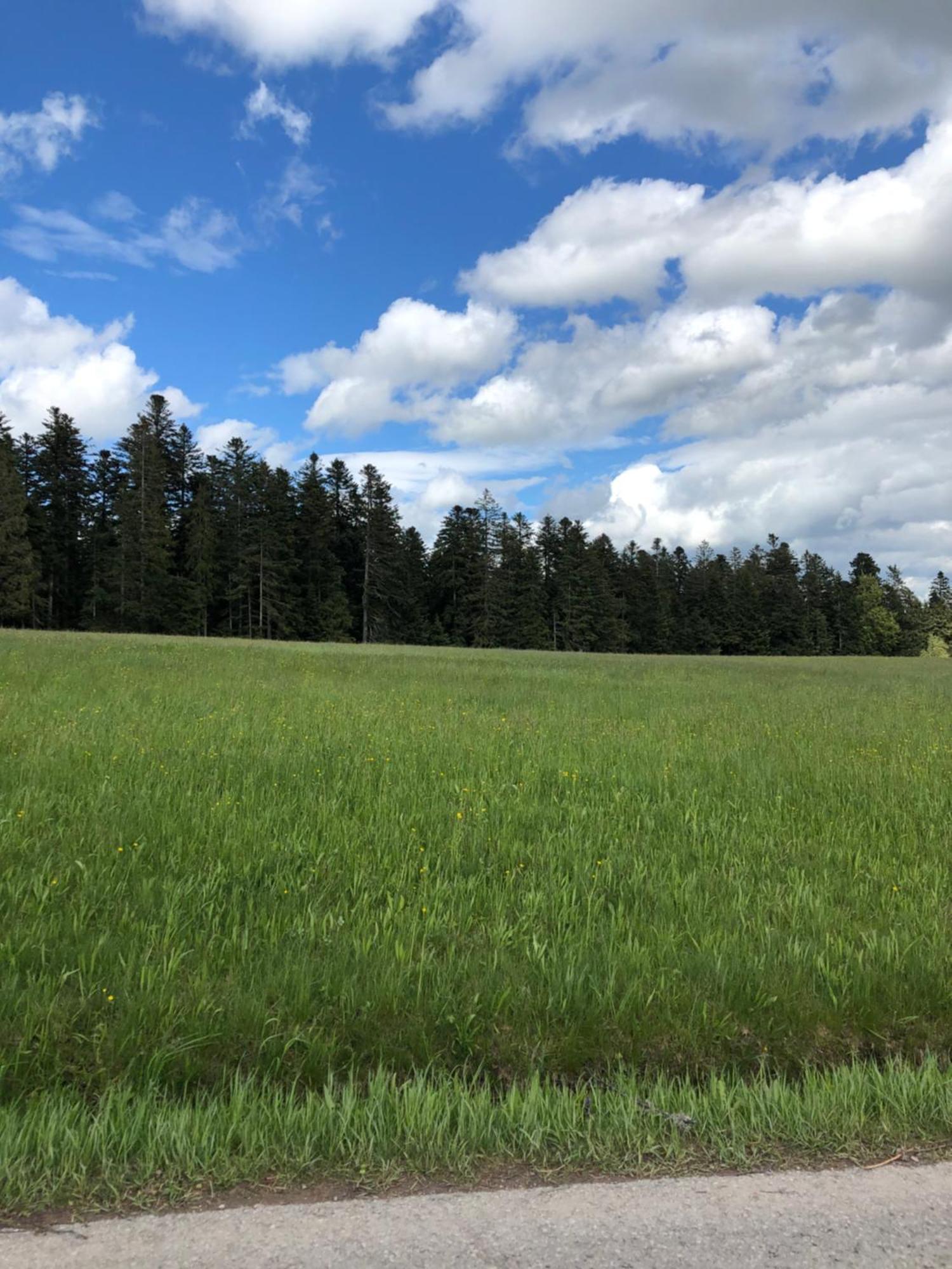 Solhof-Schömberg Loßburg Exteriör bild