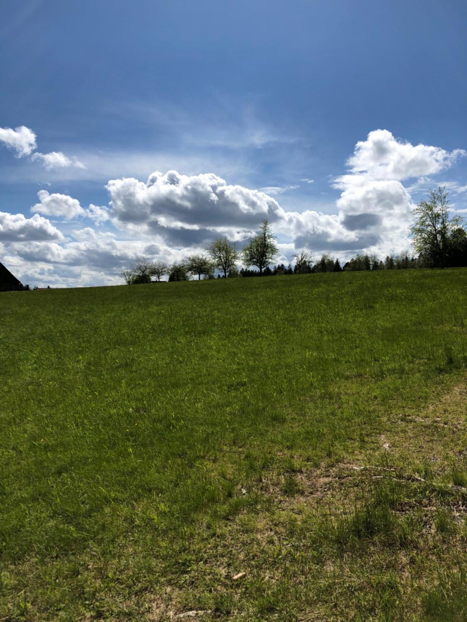 Solhof-Schömberg Loßburg Exteriör bild