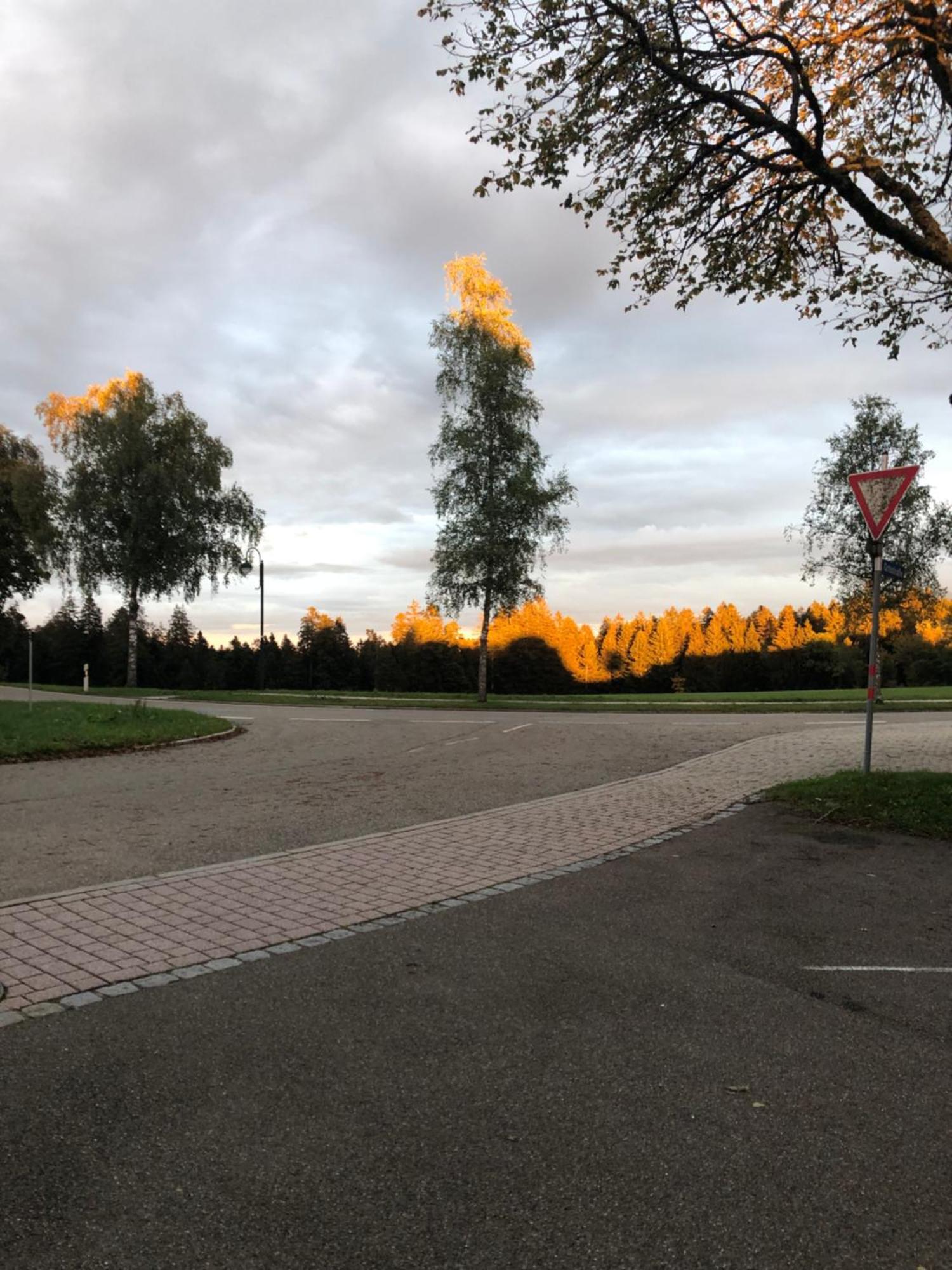 Solhof-Schömberg Loßburg Exteriör bild